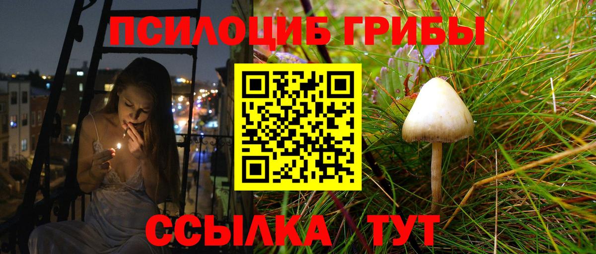 Псилоцибиновые грибы ЛСД Дагестанские Огни