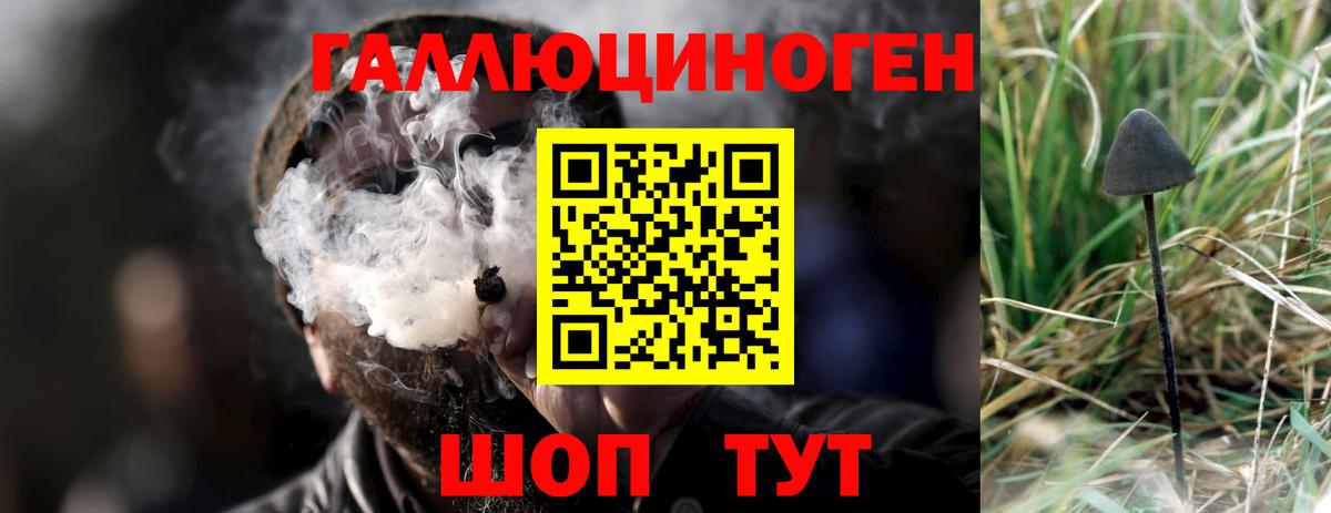 Дагестанские Огни  Галлюциногенные грибы GOLDEN TEACHER  Вход с VPN 